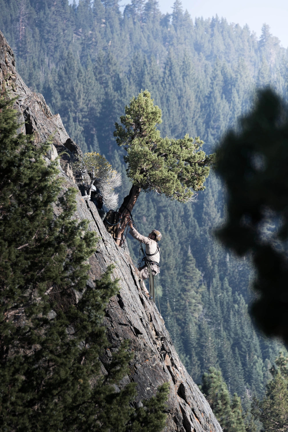 THULS - Cliff Assault (Mountain Warfare Series)